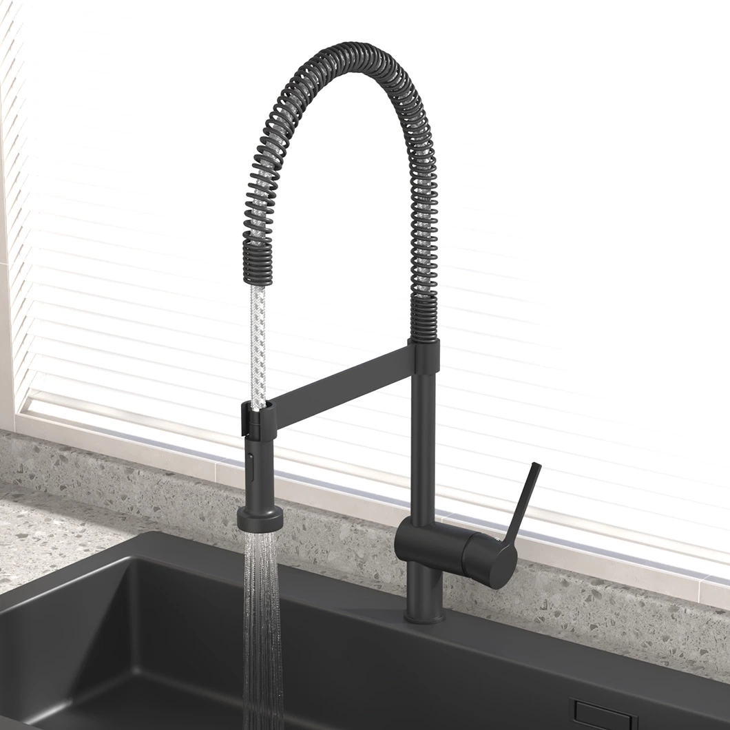 Kitchen Telescopic Spr Tube Rotary Faucet